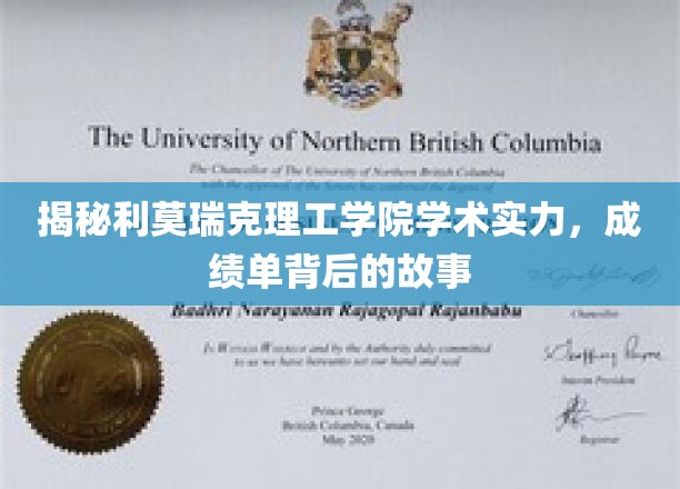 利莫瑞克理工学院，揭秘学术卓越背后的不凡历程
