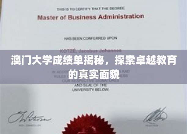 澳门大学成绩单背后的学术风采，一窥卓越教育全景