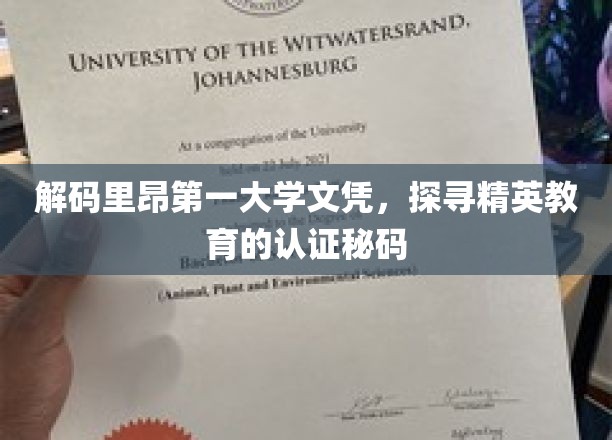 解码里昂第一大学文凭,探寻精英教育的认证秘码
