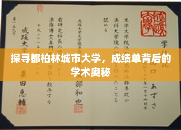 探寻都柏林城市大学，成绩单背后的学术奥秘