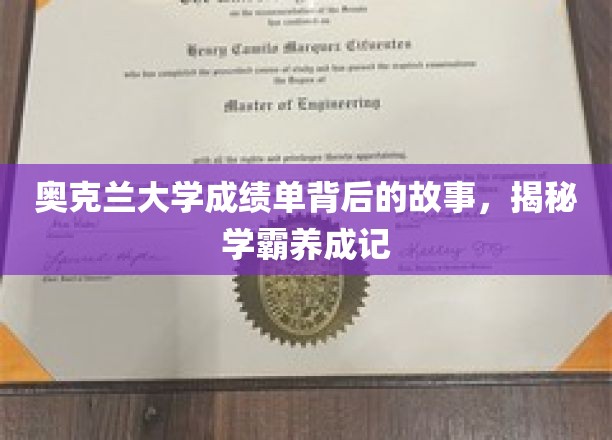 奥克兰学霸养成记，揭开成绩单背后的神秘面纱