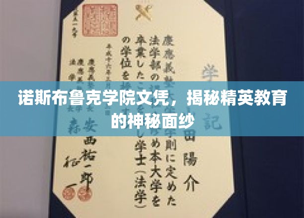 诺斯布鲁克学院文凭，揭开精英教育的神秘面纱