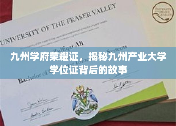 九州学府荣耀证，揭秘九州产业大学学位证背后的故事
