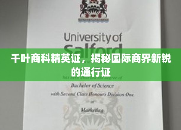 商界新锐必备，千叶精英证，开启国际商业之旅的钥匙