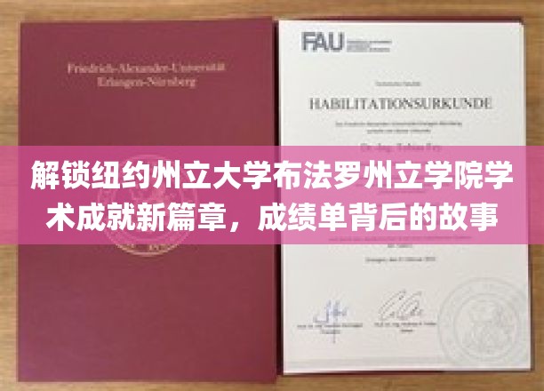 解锁纽约州立大学布法罗州立学院学术成就新篇章，成绩单背后的故事