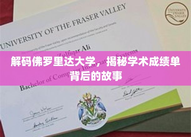 解码佛罗里达大学，揭秘学术成绩单背后的故事