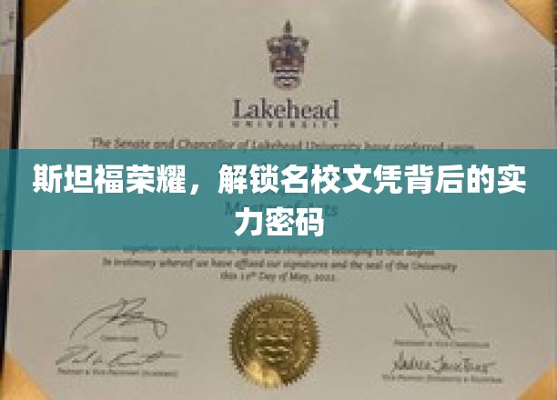 斯坦福荣耀,解锁名校文凭背后的实力密码
