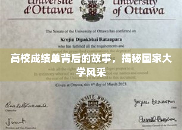 揭秘高校秘档，成绩单里的大学风采与传奇