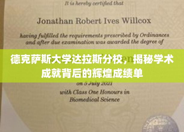 解码德克萨斯大学达拉斯分校，探寻卓越学术背后的璀璨成就