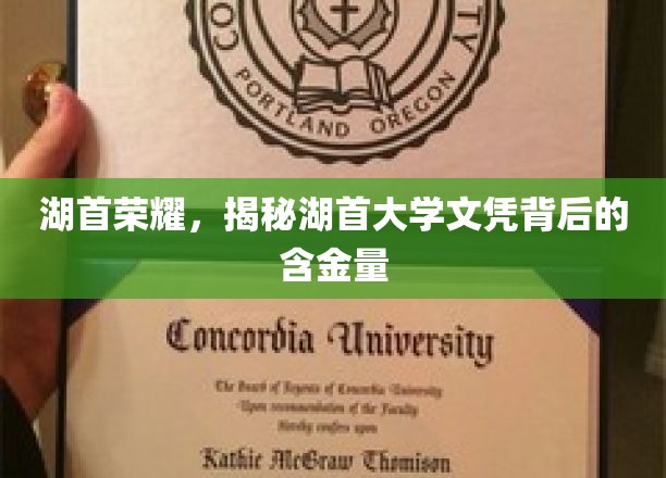 湖首大学文凭,揭秘其背后的实力与价值