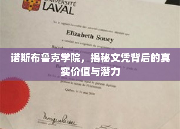 揭开诺斯布鲁克学院文凭的隐藏力量与无限可能