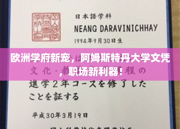 欧洲学府新宠，阿姆斯特丹大学文凭，职场新利器！