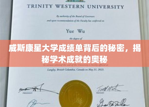 揭开威斯康星大学成绩单的神秘面纱，解码学术成功的秘密途径