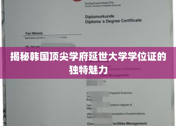 解码延世大学学位证的神秘光环