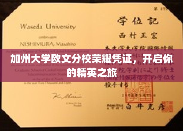 加州大学欧文分校荣耀凭证，开启你的精英之旅