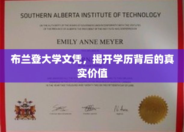 学历之光，布兰登大学文凭背后的深层价值探秘