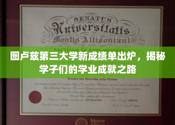 图卢兹三大学子成绩单亮相，展现青春奋斗足迹