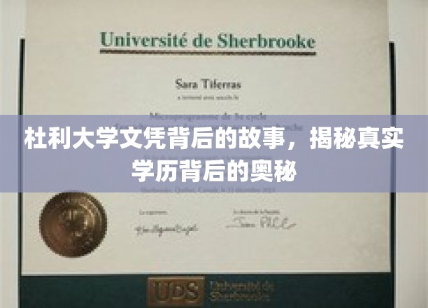 杜利大学文凭背后的故事，揭开真实学历背后的神秘面纱