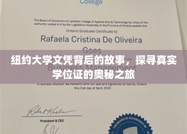 揭开纽约大学文凭的面纱，揭秘学历背后的真实世界