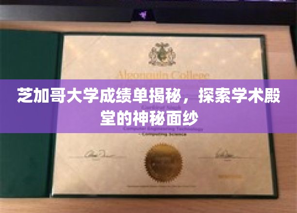 揭开芝加哥大学成绩单的秘密，探寻顶尖学府的学术奥秘