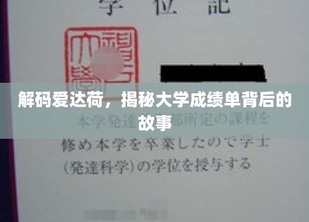 爱达荷揭秘，成绩单背后的秘密档案