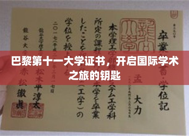 解锁全球学术殿堂，巴黎第十一大学证书，成就非凡学术旅程