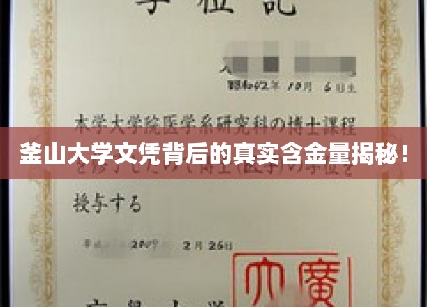 釜山大学文凭背后的真实含金量揭秘！