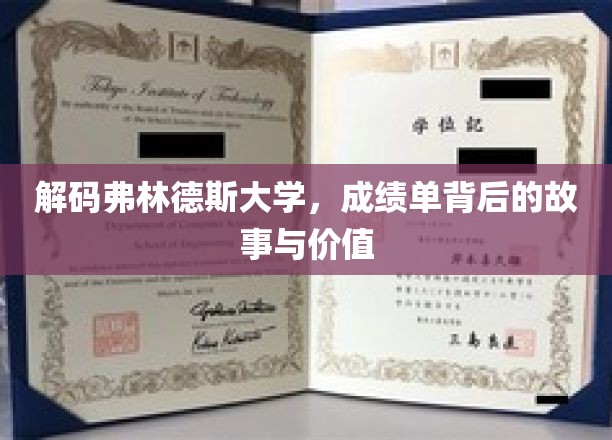 解码弗林德斯大学，成绩单背后的故事与价值