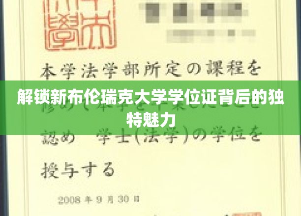 揭秘新布伦瑞克大学学位证背后的独特魅力