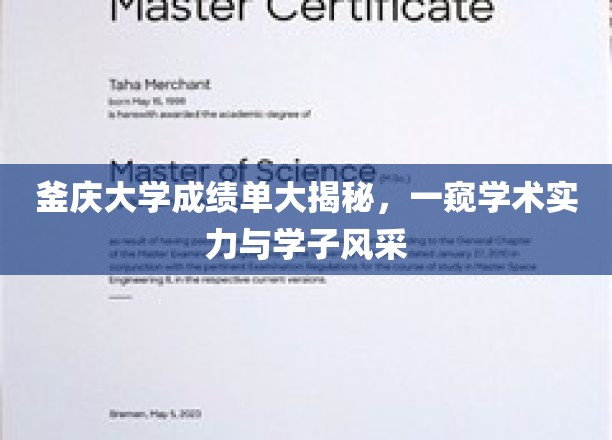 釜山大学成绩单大揭秘，一窥学术实力与学子风采