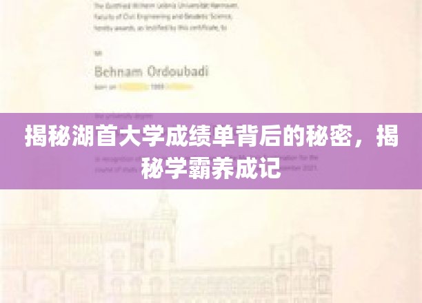 探寻湖首大学学霸之路，成绩单背后的成长奥秘