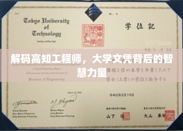 解码高知工程师，大学文凭背后的智慧力量