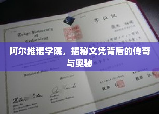 阿尔维诺学院，揭秘文凭背后的传奇与奥秘