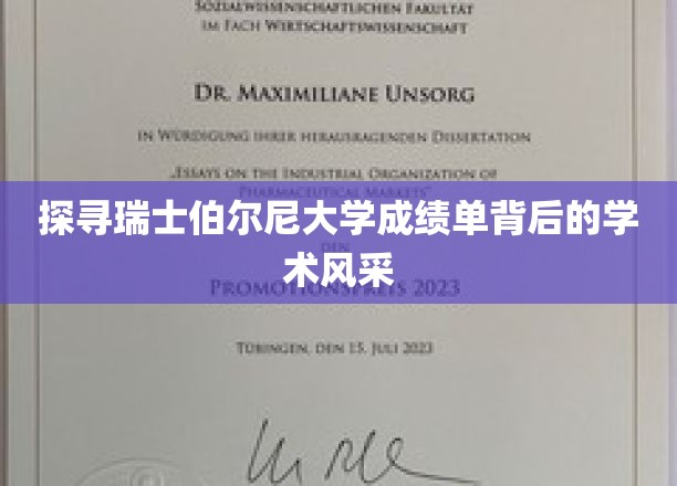 瑞士伯尔尼大学成绩单揭秘，一窥学术殿堂的非凡魅力