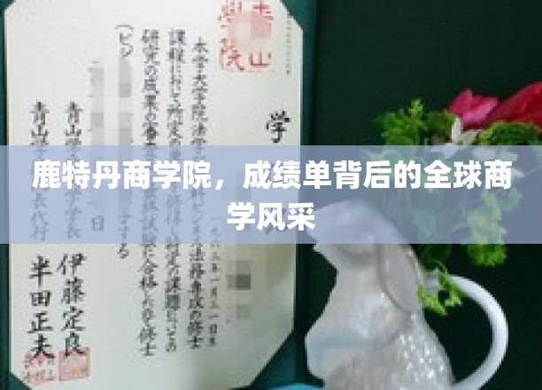鹿特丹商学院，成绩单背后的全球商学风采