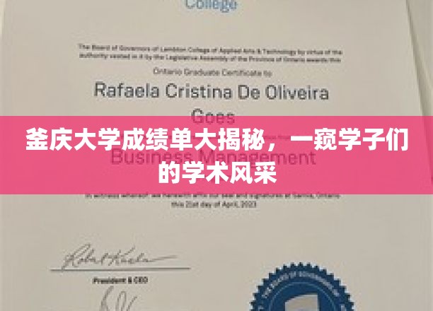 釜庆大学学子成绩单曝光，揭秘学术新星的背后风采