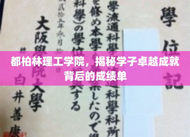 都柏林理工学院，揭秘学子卓越成就背后的成绩单