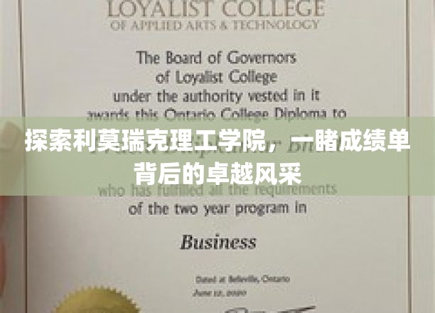 解码利莫瑞克理工学院，揭秘学霸背后的辉煌成就