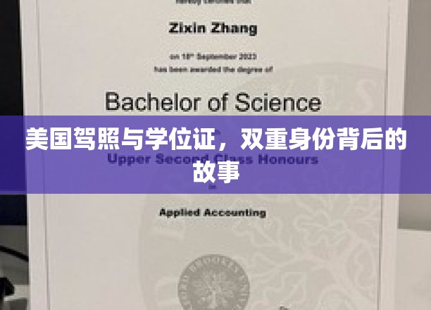 双重身份解码，美国驾照与学位证的跨界传奇