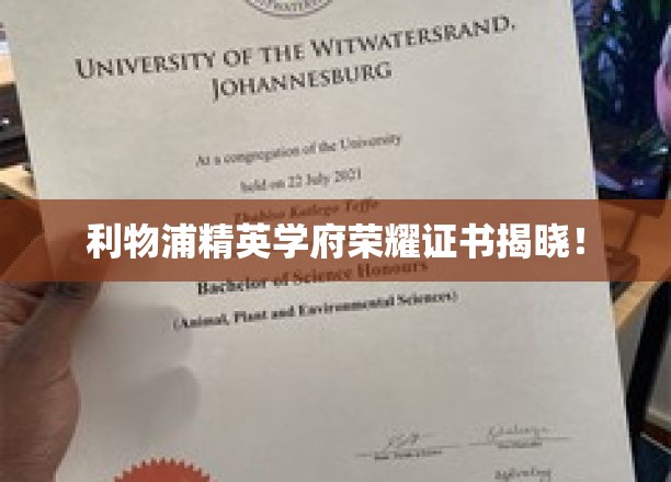 利物浦精英学府荣耀证书揭晓！
