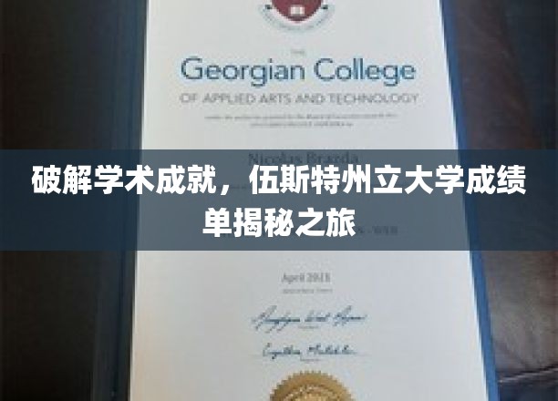 解码学术荣耀，伍斯特州立大学成绩单背后的秘密探秘