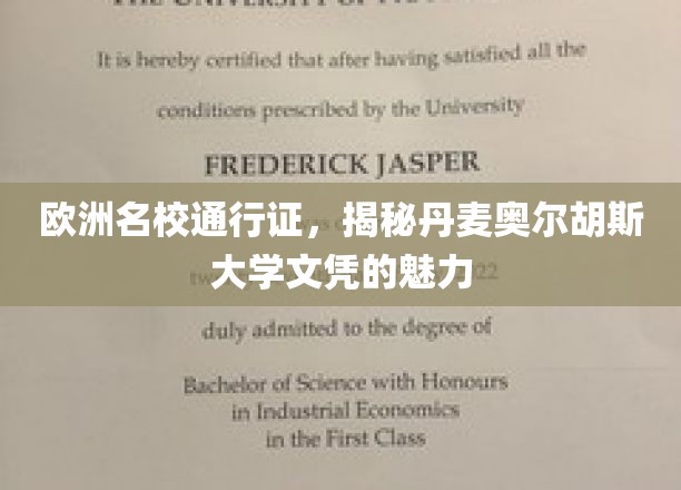 欧洲名校通行证，揭秘丹麦奥尔胡斯大学文凭的魅力