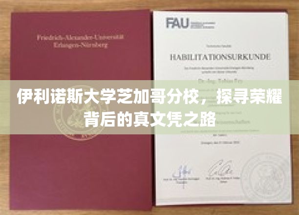揭开伊利诺斯大学芝加哥分校荣耀背后的真实学历奥秘