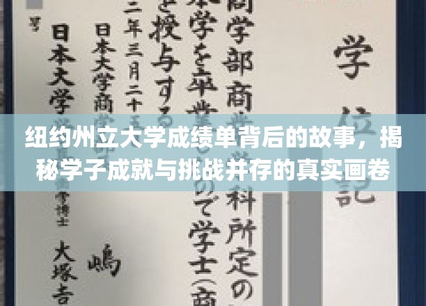 纽约州立大学成绩单背后，学子奋斗与成长的双重轨迹