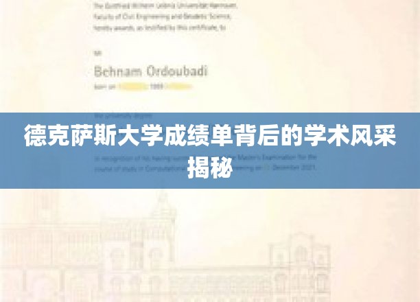 德克萨斯大学成绩单背后的学术风采揭秘
