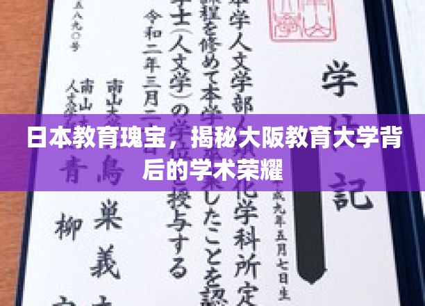 日本教育瑰宝，揭秘大阪教育大学背后的学术荣耀
