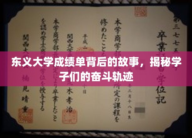 东义大学成绩单背后的青春足迹，学子们的奋斗之路揭秘