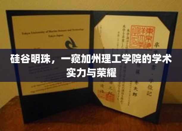 硅谷璀璨之星，加州理工学院的学术辉煌一瞥