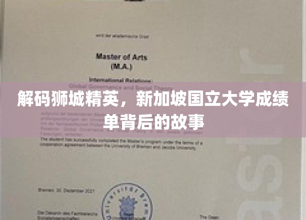 新加坡国立大学风云录，揭秘顶尖学子背后的传奇经历