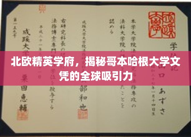 探索哥本哈根大学的全球魅力，北欧精英学府的文凭之谜